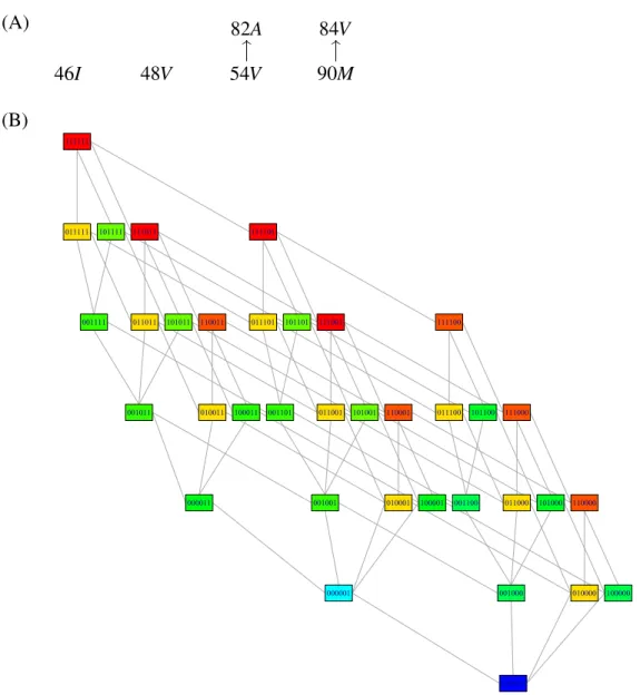 Figure 4: Cover relations of the optimal poset (A) and induced genotype lattice (B) for the development of HIV resistance to the PR inhibitor indinavir