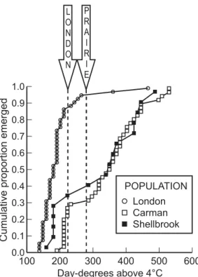 Fig. 2. Observed cumulative emergence of Delia radicum from London, Carman, and Shellbrook at a constant temperature of 14.6 u C in relation to day-degrees above 4 u C (DDC 4 ) in the 2005–2006 experiment