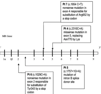 Fig. 2. ENaC mutations for three patients with the systemic form: view of the protein subunits, α , β and γ , which assemble as 2 α , 1 β and 1 γ to form the channel expressed on the cell surface