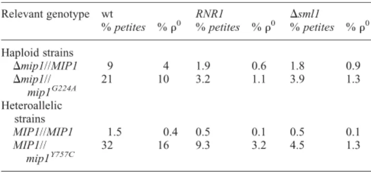 Table 1. Percentage of petite (r 0 þ r 2 ) and percentage of r 0 mutants produced in different genetic backgrounds