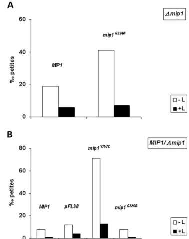 Figure 5. Determination of petite frequency in the presence/absence of 30 m M