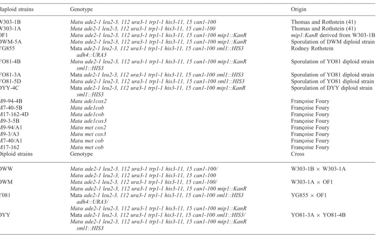 Table 3. List of yeast strains