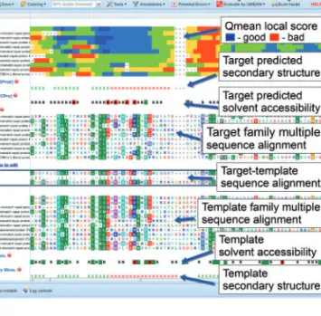 Fig. 1. The MODalign result page. The alignment can be edited in the target- target-template alignment section