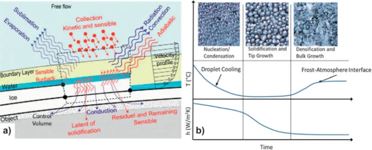 Figure 7.        Thermal aspects and spatial features in icing and frosting. (a) Schematic depiction of processes involved in ice accretion on the top of a solid  object exposed to a free ﬂ ow in conditions conducive to freezing