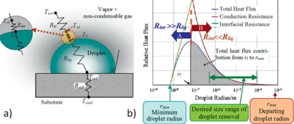 Figure 6.        Thermal aspects and length scales in dropwise condensation (DwC). (a) Schematic representation of thermal resistances associated with DwC  [  R   bl  : vapor boundary layer thermal resistance (present if the vapor phase has noncondensable 