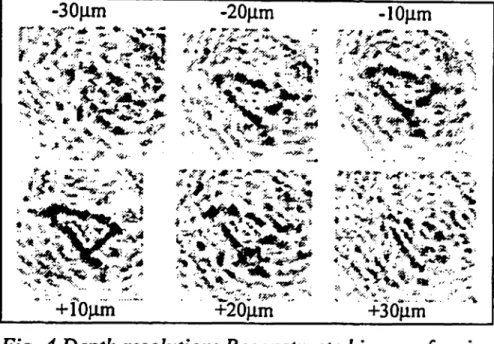 Figure 2 shows a typical result of numerical OLCHM.