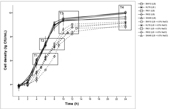 Figure 1. Growth of five S. aureus strains (BW10, KLT8, RKI1, RKI2, SAI48) was compared in LB and LB adjusted to 4.5% NaCl