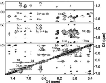 Figure 3. The NOESY spectrum for the DDD-XY duplex, showing the assignments of the O 6 -Bn-dG and dPer protons