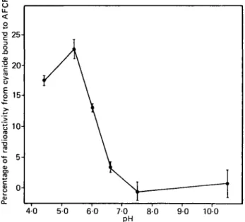 Fig. 3. Effect of pH on the adsorption of labelled cyanide to ammonium ferric hexacyanoferrate (AFCF)
