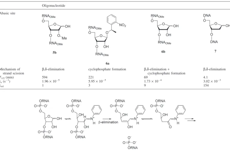 Table 4. Summary of the T 1/2 and k s and k rel data measured for alkaline induced strand scission of the abasic RNA and DNA heptamers Oligonucleotide