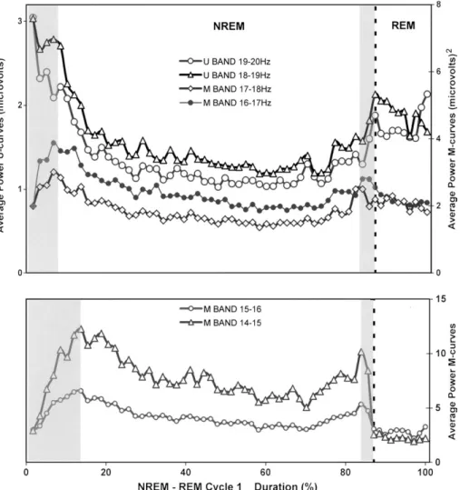 Figure 5 shows that for each of the four cycles the two time- time-courses are totally different in shape, the higher frequency range being U-shaped and the lower frequency range being  M-shaped