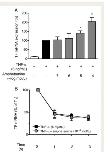 Figure 4 Amphetamine inhibits endothelial tissue factor pathway inhibitor protein expression