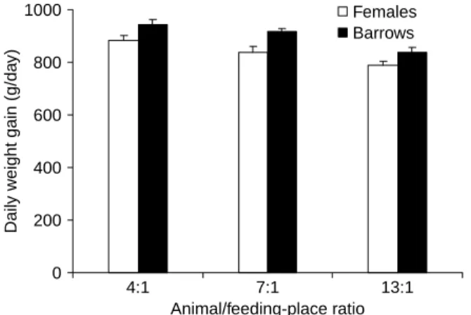 Figure 2 Average lean meat proportion ( ^ s.e.) of fattening pigs of different sex given food at different animal/feeding-place ratios.