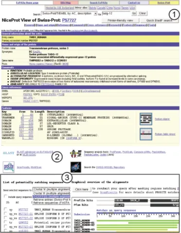 Figure 1. The NiceProt view of a SWISS-PROT entry presents its contents in a user-friendly view