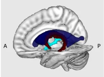 Figure 7.1. Location of the fornix (red) surrounded by lateral ventricles (dark blue) and third ventricle (light blue) in sagittal view