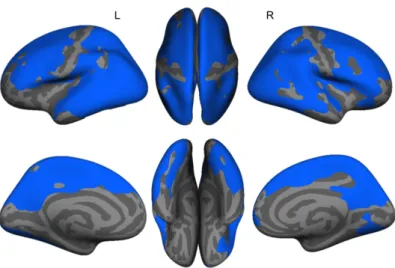 Figure 5.1. Cross-sectional comparisons of cortical thickness between groups at TP1. Significant clusters (blue) were projected onto inflated brain surfaces (grey), after correcting for multiple comparisons using Monte-Carlo simulations (5’000 permutations
