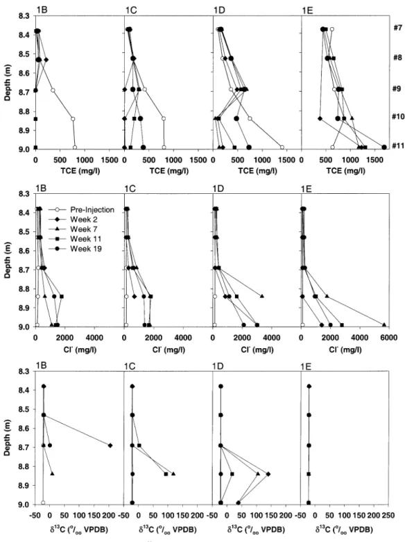 FIGURE 3. Concentration of TCE, concentration of Cl - and δ 13 C of TCE in the five deepest points (#7 to #11) of multilevel bundles 1B, 1C, 1D, and 1E before permanganate injection (open circles), 2 weeks after permanganate injection (diamond), 7 weeks af