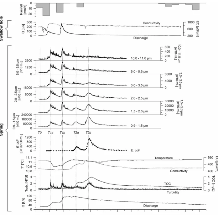 FIGURE 4. Dynamics of natural parameters during a multiple flood event at the Feurtille swallow hole and the Moulinet spring