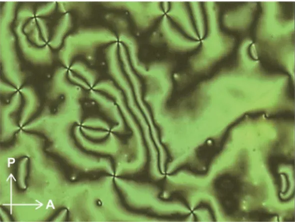Fig. 12 Polarized optical microscopic image of cyclophane 1 at 200  C.