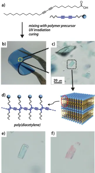 FIGURE  1  Mechanochromic  poly(diacetylene)s  can  be  embedded  in  poly(dimethylsiloxane)  as  elastomeric  matrix  and  a  chromic  response  is  observed  upon  deformation