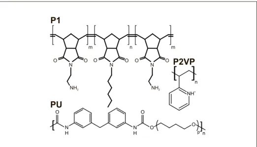 Fig. 2. The investigated polymers include poly(2-vinyl pyridine) (P2VP), a poly(urethane) made from poly(tetrahydrofuran), 1,4-butanediol, and methylene diphenyl diisocyanate (PU), [29] and a triblock copolymer of N-(2-aminoethyl)-5-norbornene-2,3-dicarbox