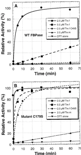 Table 2: S 0.5 of Magnesium for Oxidized and Reduced WT and Mutant Spinach FBPase