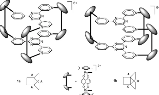 Figure 2. Schematic representations of symmetrical isomer 1a (left) and unsymmetrical isomer 1b (right) with the identification of their respective trigonal segments.