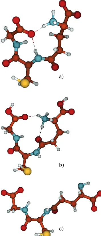 Figure 6. Pictorial representations of optimized structures of GSH as found by density functional theory calculations (see text for details): (a) Y-shaped structure of GSH zwitterionic;