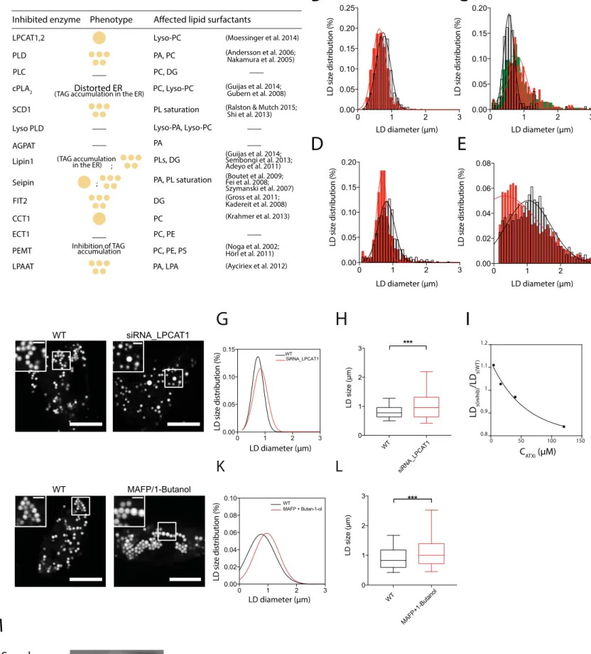 Figure S6 Ben M’Barek et al. 2016'&amp;# $! '&amp;#$!%  JKLGFHI% ()" '&amp;#$!% 0.80.911.11.2050100150MSqualeneSterol esterTerbinafine_+