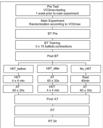 Fig. 1. Overview of the course of the experiment.
