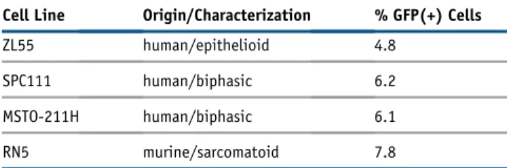 Table 1. Percentage of EGFP(+) Cell Populations in Human and Mouse MM Cell Lines