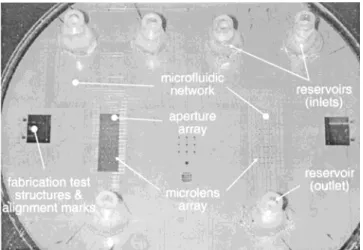 Figure 1. Topside view of the complete chip with two microfluidic systems (fluorescence collected from this side)