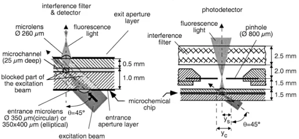 Figure 3.  Microchannel layout of the chemical chip.