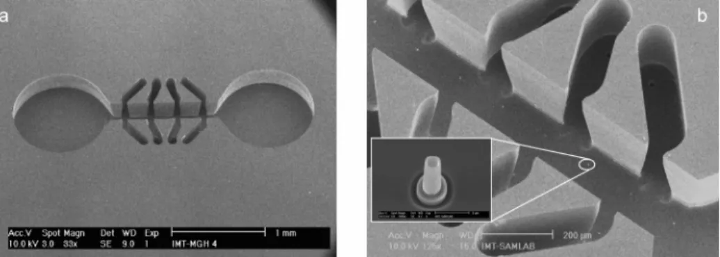 Figure 2. SEM pictures of the platform for extracellular ionic measurement. (a) Overall view of the main microchannel that widens on both ends in two holes
