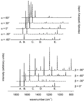 Figure 5. Simulated infrared spectra of NAC for different orientations of the molecule with respect to the metal surface (see Figure 1 for the reference orientation of the molecular and fixed surface coordinate system)