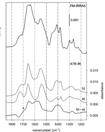 Figure 8. Top: PM-IRRAS spectrum recorded ex situ after sample immersion in a solution of NAC (7 mM) in EtOH for 24 h