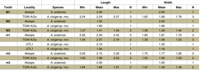 Table 1. Length and width of the upper and lower molars of Argyromys species.
