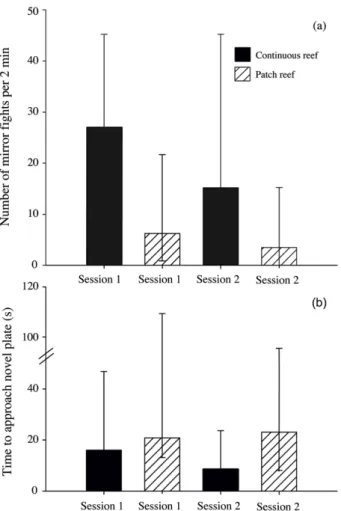 Figure 3. Boldness and aggression do not differ between continuous and  patch reef cleaners