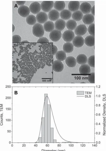 Figure 1. Characterization of F-SiO 2 NP. (A) Transmission electron microscopy (TEM) image showing NP shape and size