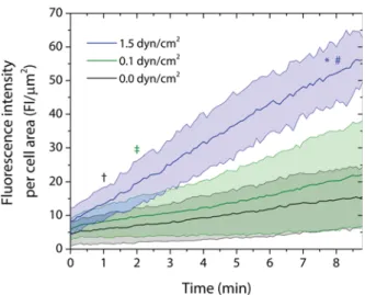 Figure 4. Uptake of F-SiO 2 NP by J774A.1 increases with physiological ﬂow. The uptake of F-SiO 2 NP is measured by the ﬂuorescent intensity per cell area in the absence of ﬂow (black line, 0.0 dyn/cm 2 ), at low ﬂow (green line, 0.1 dyn/cm 2 ) and at phys