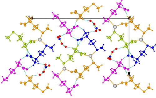 Figure  S12.  Crystal  packing  of  the  {[Ag 2 (L-Methionine) 4 ](NO 3 ) 2 •2H 2 O}n  complex