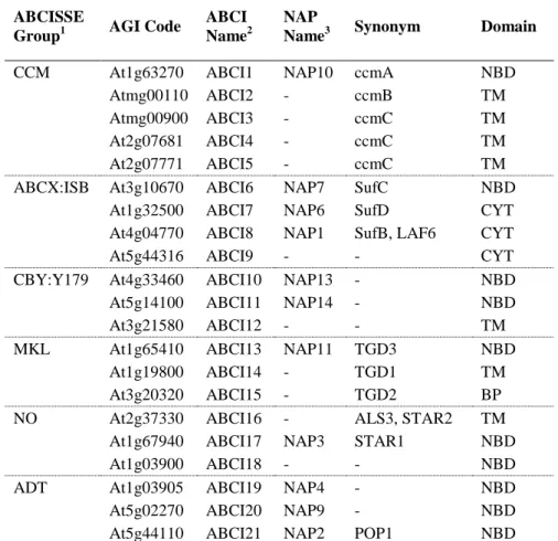 Table 2.1 ABC type I subfamily in Arabidopsis thaliana. 