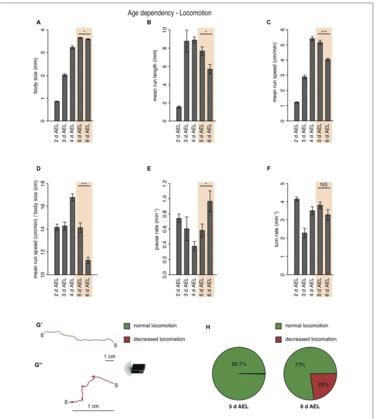 FIGURE 2 | Larval locomotion is changing with larval body size and age. (A) Mean body size of different larval age groups