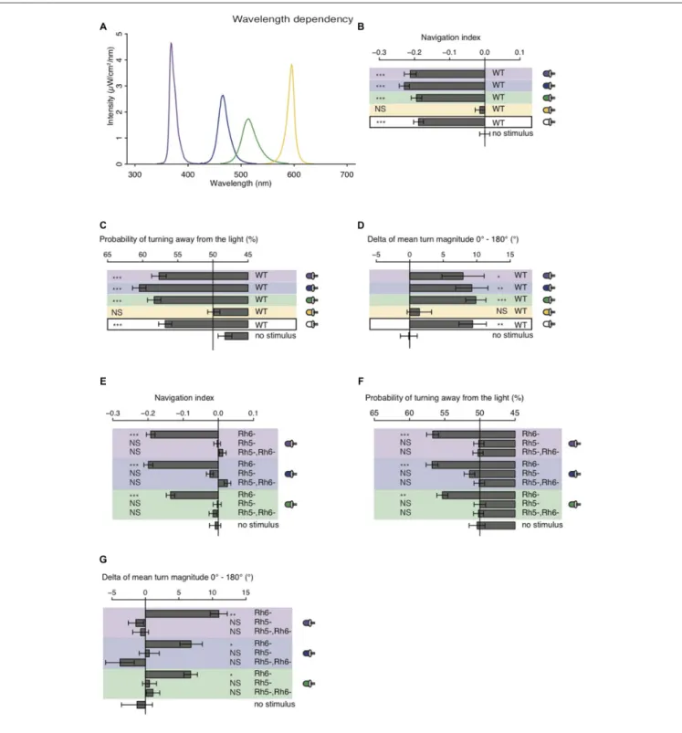 FIGURE 4 | Light with wavelengths ranging from ultraviolet (UV) to green is robustly avoided by WT and Rhodopsin6 (Rh6) mutant larvae