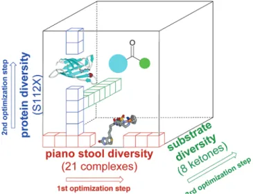 Figure 3. Representational search strategy 49 allowing a rapid identification of good catalyst ⊂ protein combinations without examination of all possibilities.