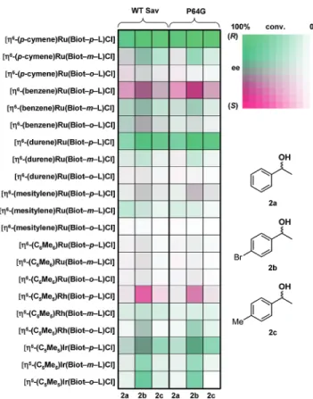 Figure 5. Fingerprint display of the results for the chemical optimization of the transfer hydrogenation of a cocktail containing acetophenone 1a, p-bromoacetophenone 1b and p-methylacetophenone 1c in the presence of 21 biotinylated d 6 -piano stool comple