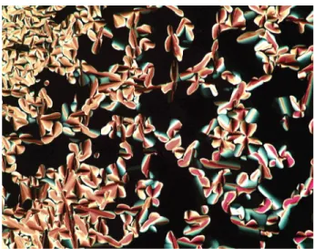 Figure 1. Thermal polarized optical micrograph of the hexagonal columnar texture (pseudo-focal conic and homeotropic textures) displayed by 9 at 87 ° C.
