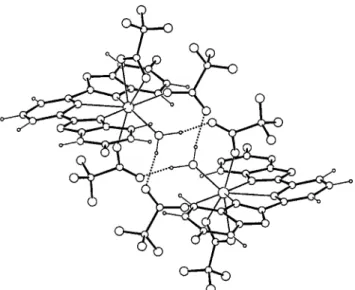 Figure 10. Perspective view of the coordination sphere of 14 showing the network of hydrogen bonds in the H-shaped dimer.