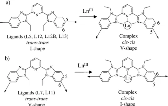 Figure 1. Conformational changes (trans - trans f cis - cis) occurring upon complexation to Ln(III) and associated schematic molecular anisometry observed for (a) five-substituted receptors (L5, L12, L12B, and L13) and (b) six-substituted receptors (L7 and