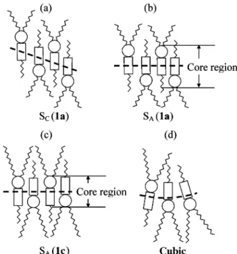 Figure 7. Postulated structures of the liquid-crystalline phases. (a) Smectic C phase for 1a, (b) smectic A phase for 1a, (c) smectic A phase for 1c, (d) cubic phase